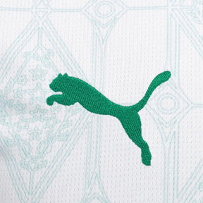 Camiseta Palmeiras 25/26 II Visitante - Versión Aficionado