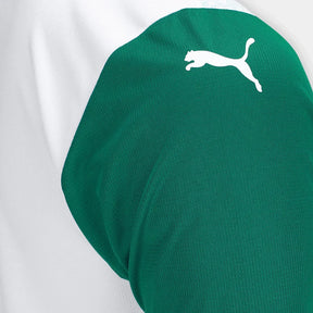 Camiseta Palmeiras 25/26 II Visitante - Versión Aficionado