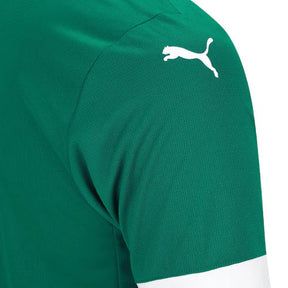 Camiseta Palmeiras 25/26 I Casa - Versión Aficionado