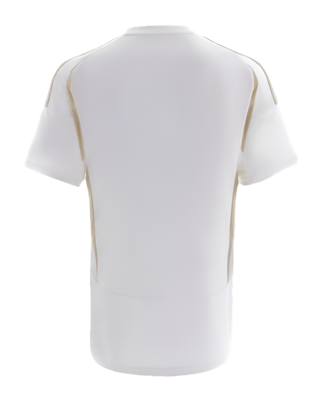 Camiseta Al-Nassr 24/25 III Tercera - Versión Aficionado