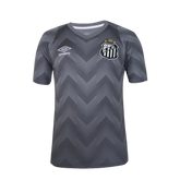 Camiseta Santos 24/25 Portero - Gris - Versión Aficionado