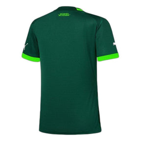 Camiseta Palmeiras 23/24 I Casa - Femenina