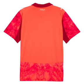 Camiseta Palmeiras 25/26 II Edición Especial - Versión Aficionado