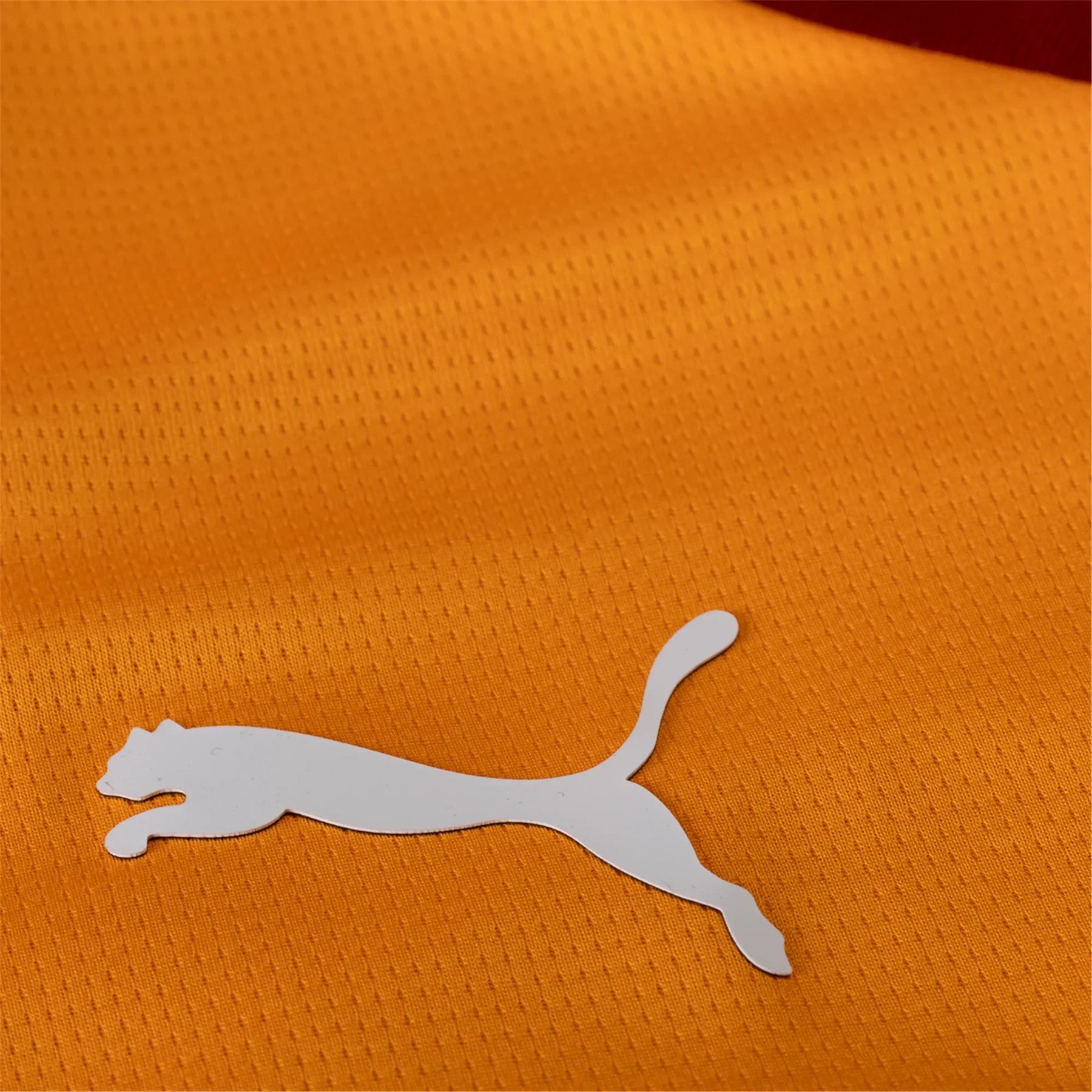 Camiseta Galatasaray 25/26 I Casa - Versión Aficionado