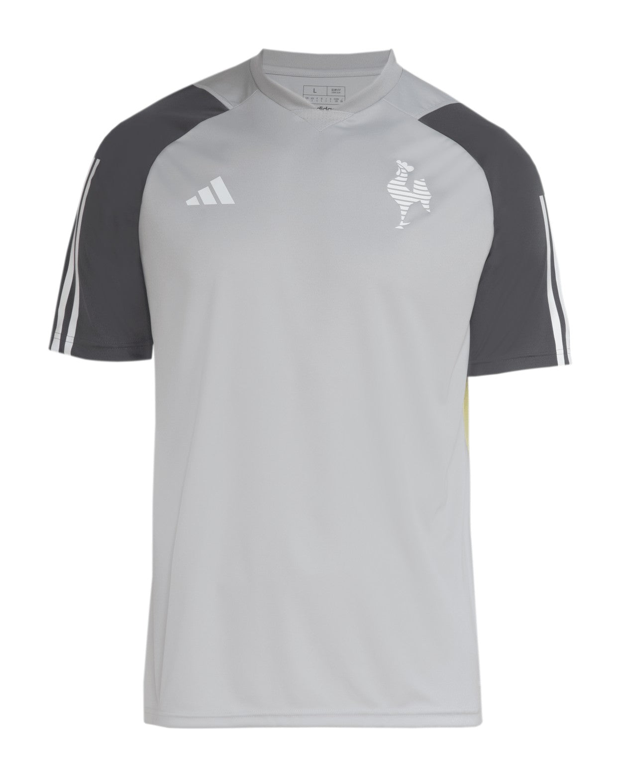 Camiseta Atlético Mineiro 24/25 Entrenamiento - Gris - Versión Aficionado